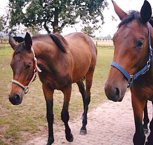 Shari und Sabrina