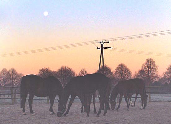 Winterauslauf